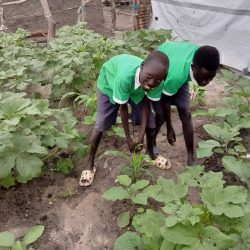 Working in the garden